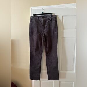 Gray Talbots Velveteen Straight Leg Pant